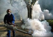 Fumigando para combatir al dengue (Ampliar Imagen)